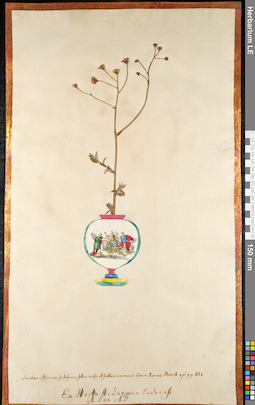 LE 01091478