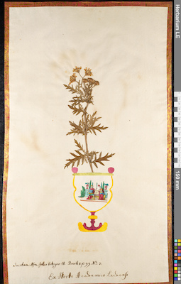 LE 01091479
