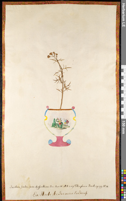 LE 01091483