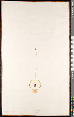 LE 01091487