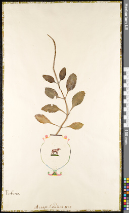 LE 01091498