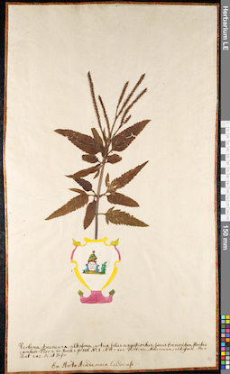 LE 01091505