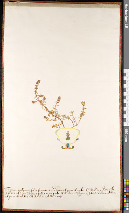 LE 01091518