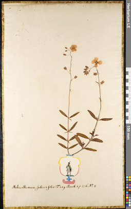 LE 01091530