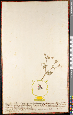 LE 01091534