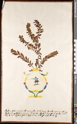 LE 01091537