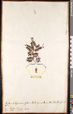 LE 01091539