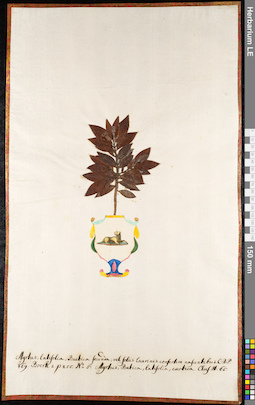 LE 01091542
