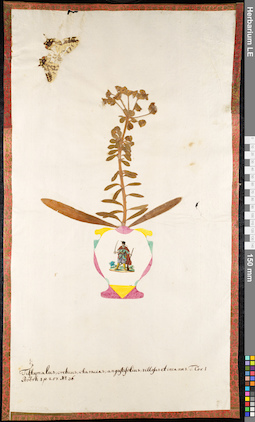 LE 01091550