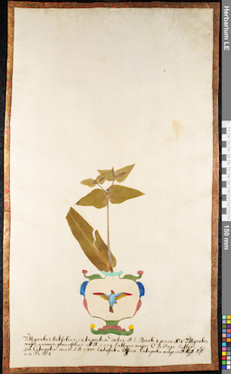 LE 01091555