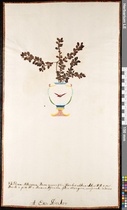 LE 01091580