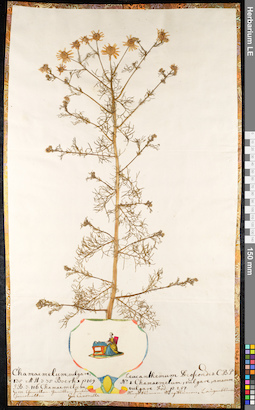 LE 01091609
