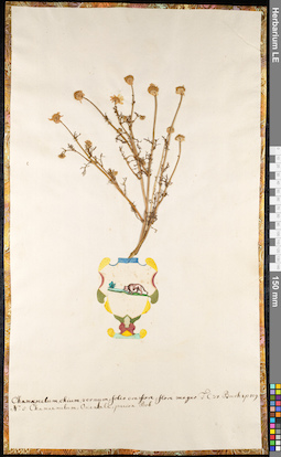 LE 01091612