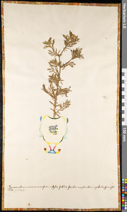 LE 01091614