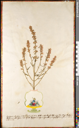 LE 01091633