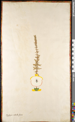 LE 01091634