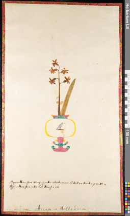 LE 01091653