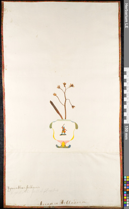 LE 01091656