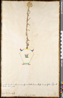 LE 01091686