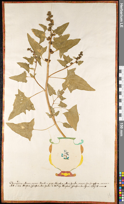 LE 01091695