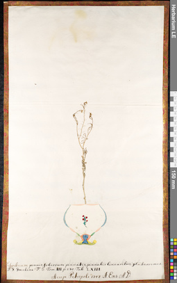 LE 01091712