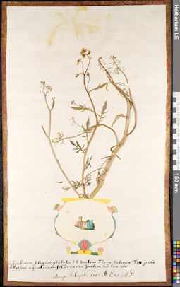 LE 01091713
