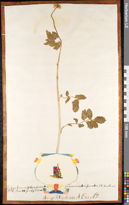 LE 01091714