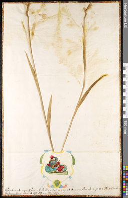 LE 01091733