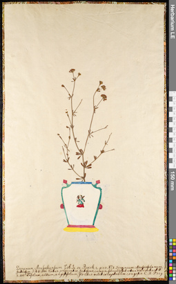 LE 01091736