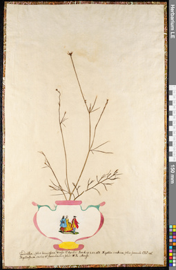 LE 01091739