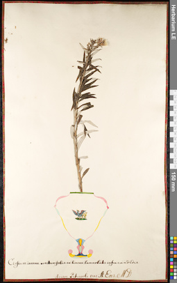 LE 01091905