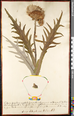 LE 01091906