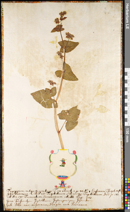 LE 01091909