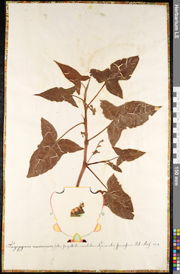 LE 01091910