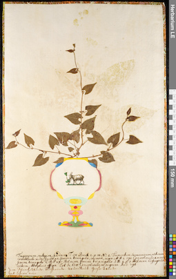 LE 01091911