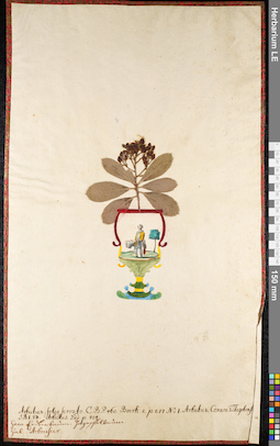 LE 01091918