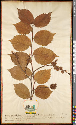 LE 01091922