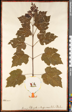 LE 01091924