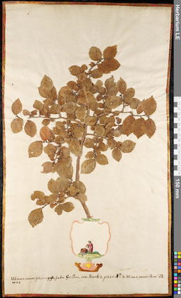 LE 01091925