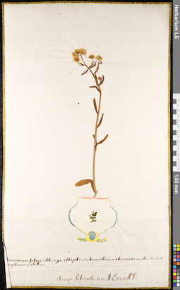 LE 01091926