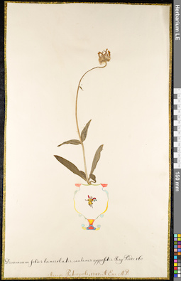 LE 01091927