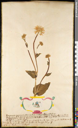 LE 01091928