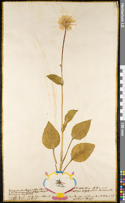 LE 01091929