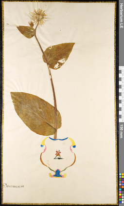 LE 01091930