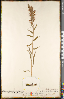 LE 01091931