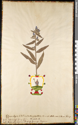 LE 01091932