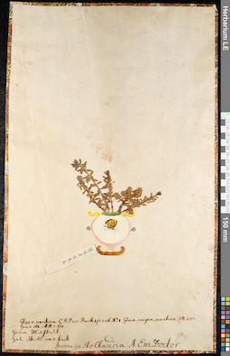LE 01091941