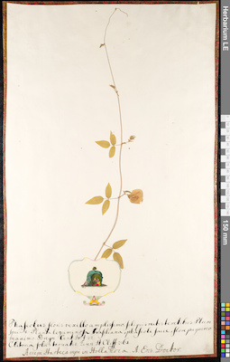 LE 01091942
