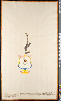 LE 01091952