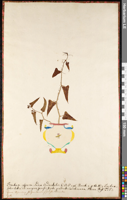 LE 01091971